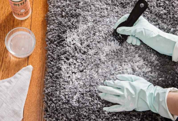 Easy Steps To Solve The Question: How To Get Paint Out Of Carpet